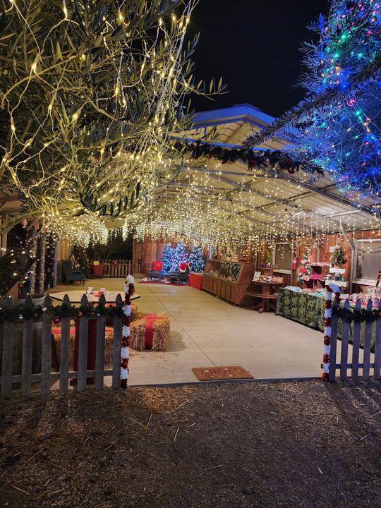 Christmas Light Display